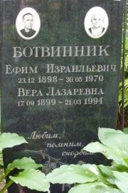 Ботвинник Ефим Израильевич, Москва, Востряковское кладбище